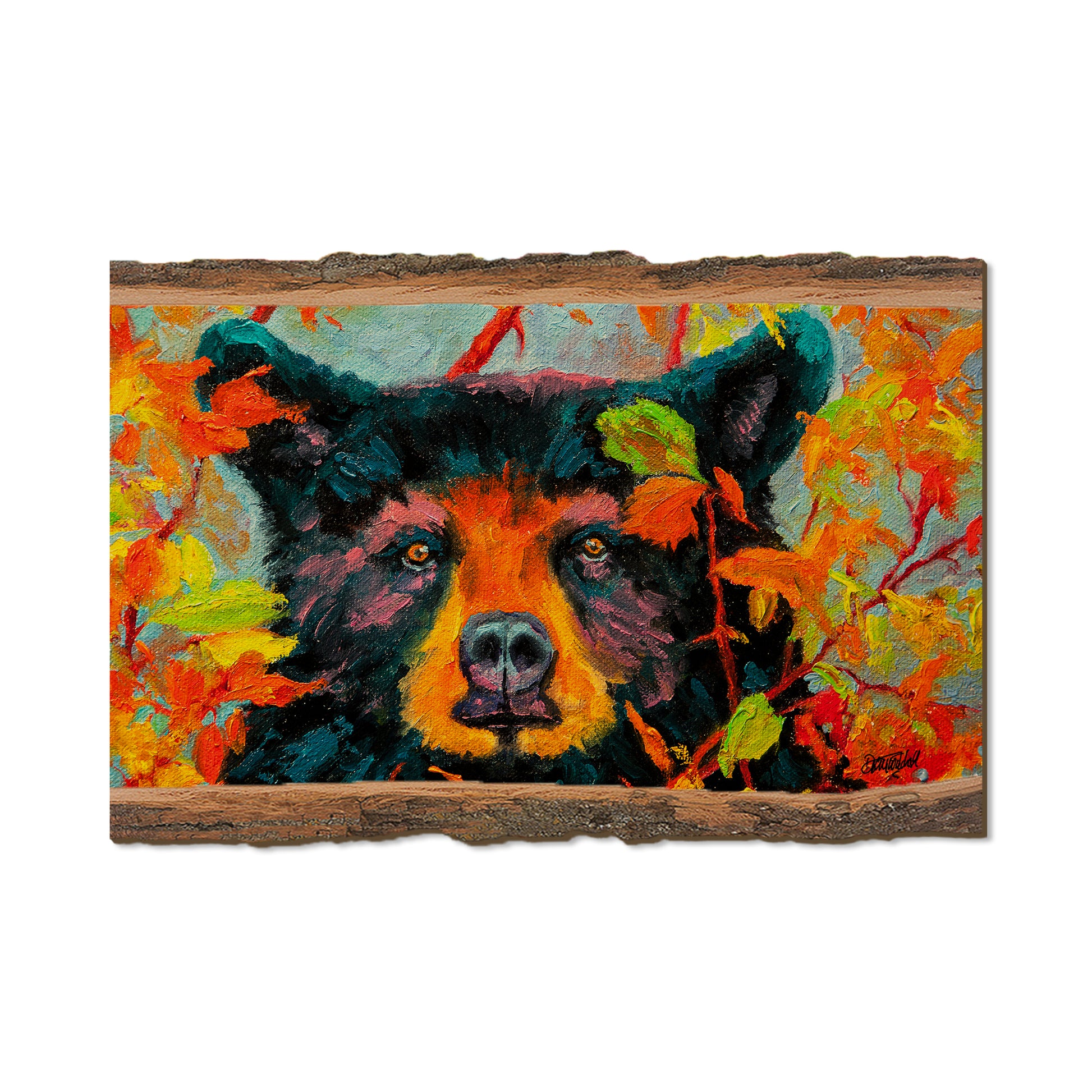 Twitchell's Color Bear - Live Edge Live Edge Postcard (5pk // $2.80ea)