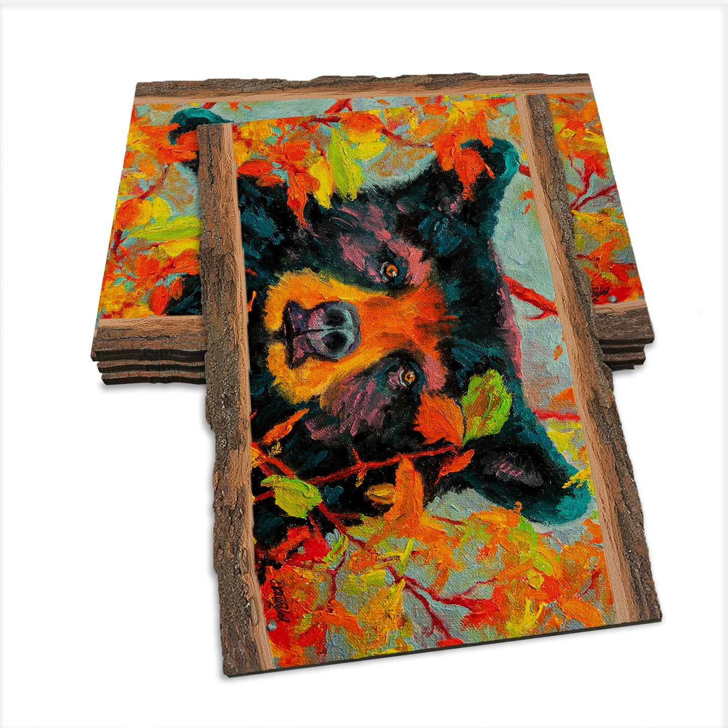 Twitchell's Color Bear - Live Edge Live Edge Postcard (5pk // $2.80ea)