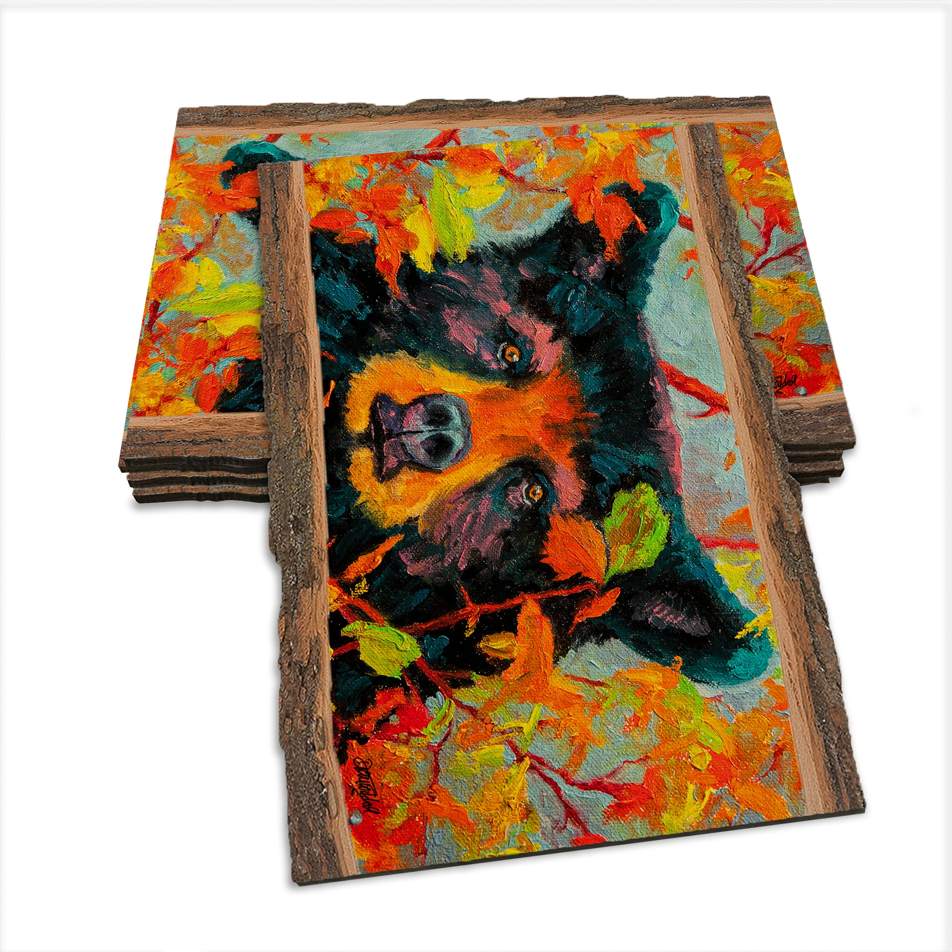 Twitchell's Color Bear - Live Edge Live Edge Postcard (5pk // $2.80ea)