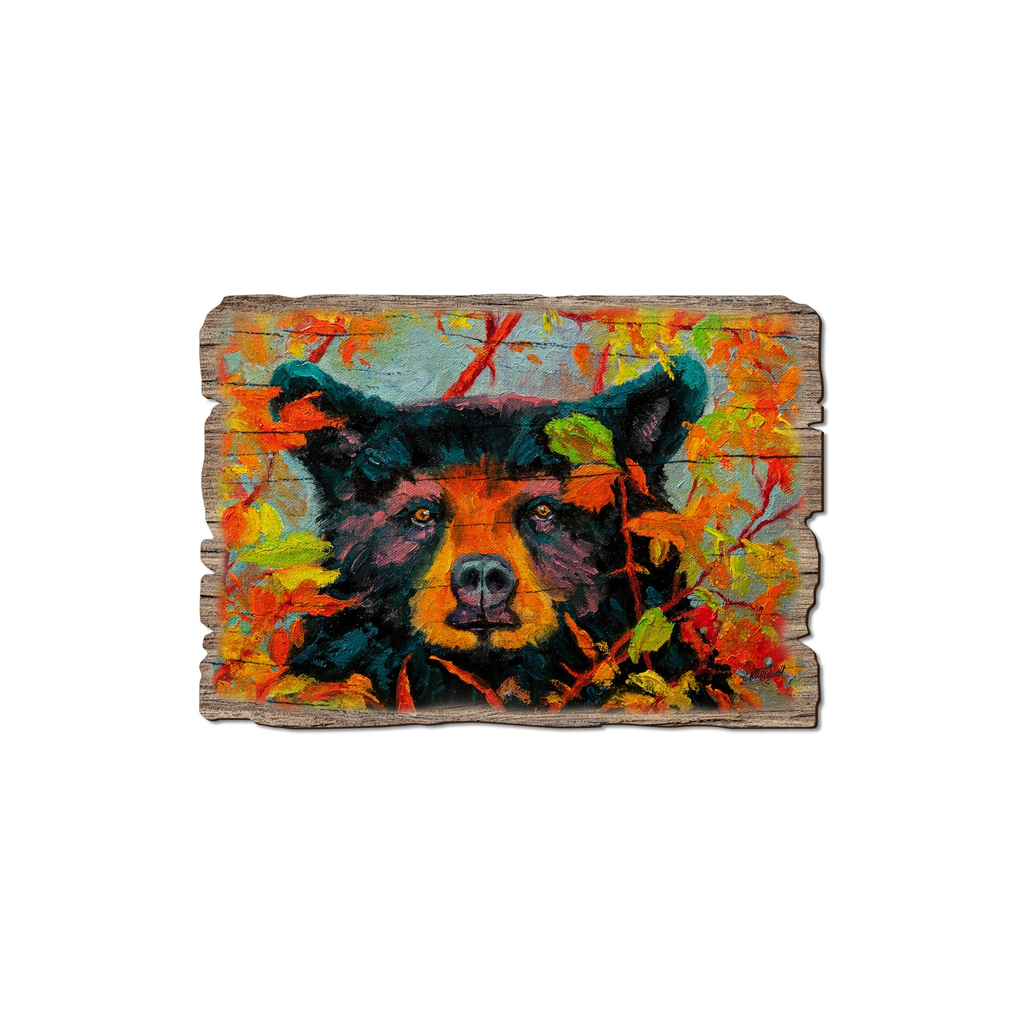 Twitchell's Color Bear - Rustic Edge Postcards & Magnets Rustic Edge Magnet (5pk // $2.80ea)
