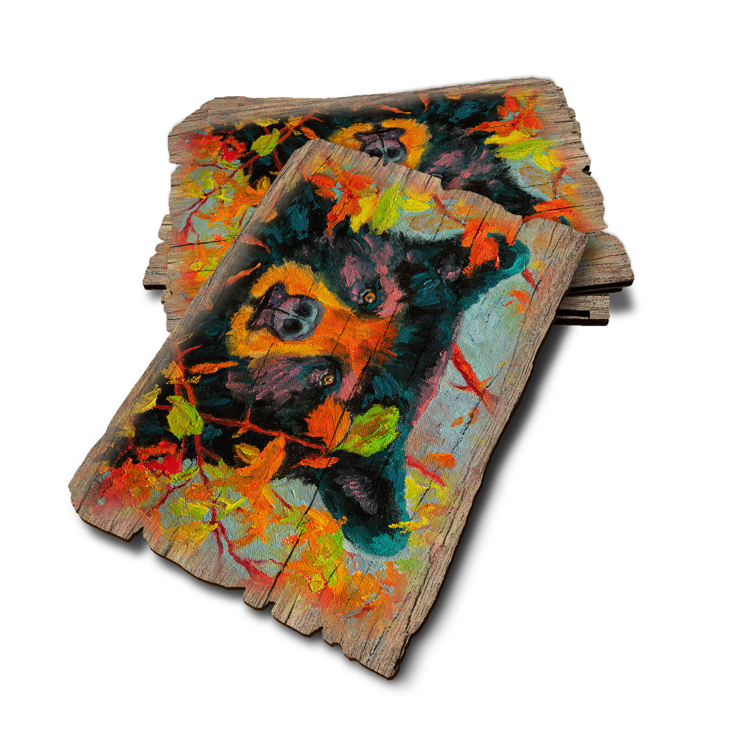 Twitchell's Color Bear - Weathered Edge Rustic Edge Postcard (5pk // $2.80ea)