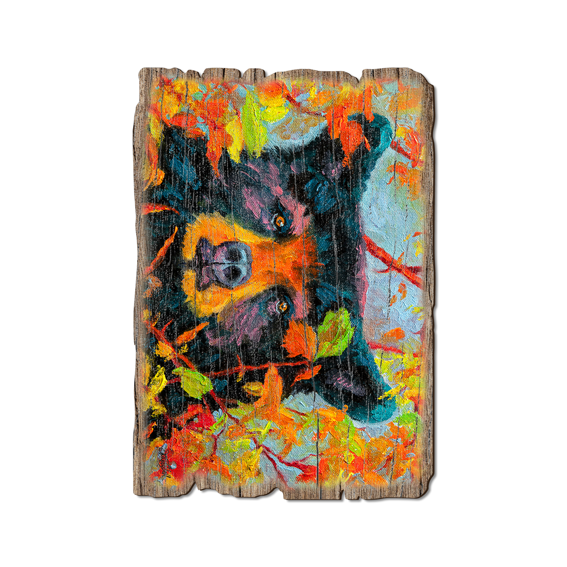 Postcard: Weathered Edge - Twitchell's Color Bear
