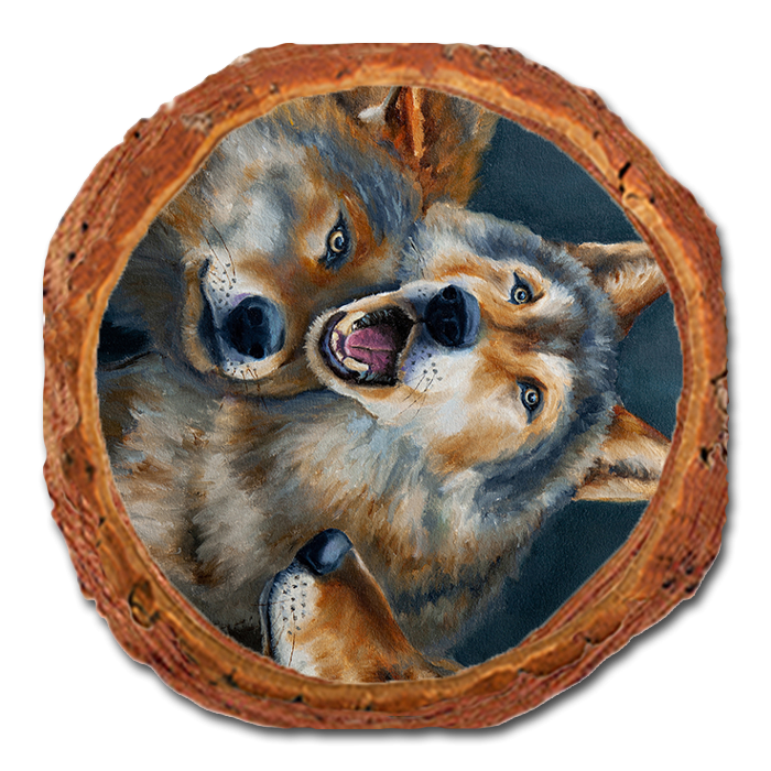 Coaster: Live Edge - Twitchell's Dominance (Pack of 5)