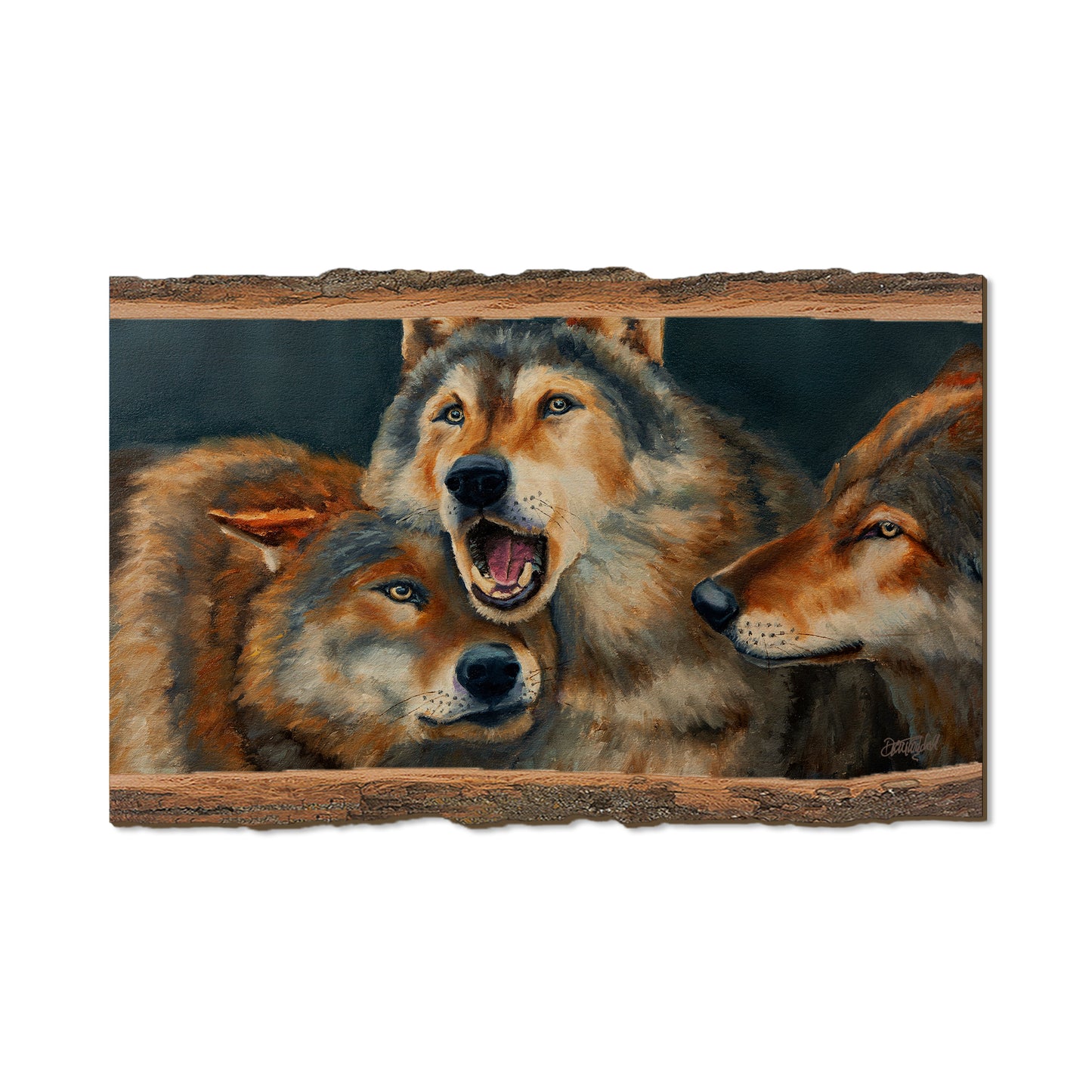 Twitchell's Dominance - Live Edge Live Edge Magnet (5pk // $2.80ea)