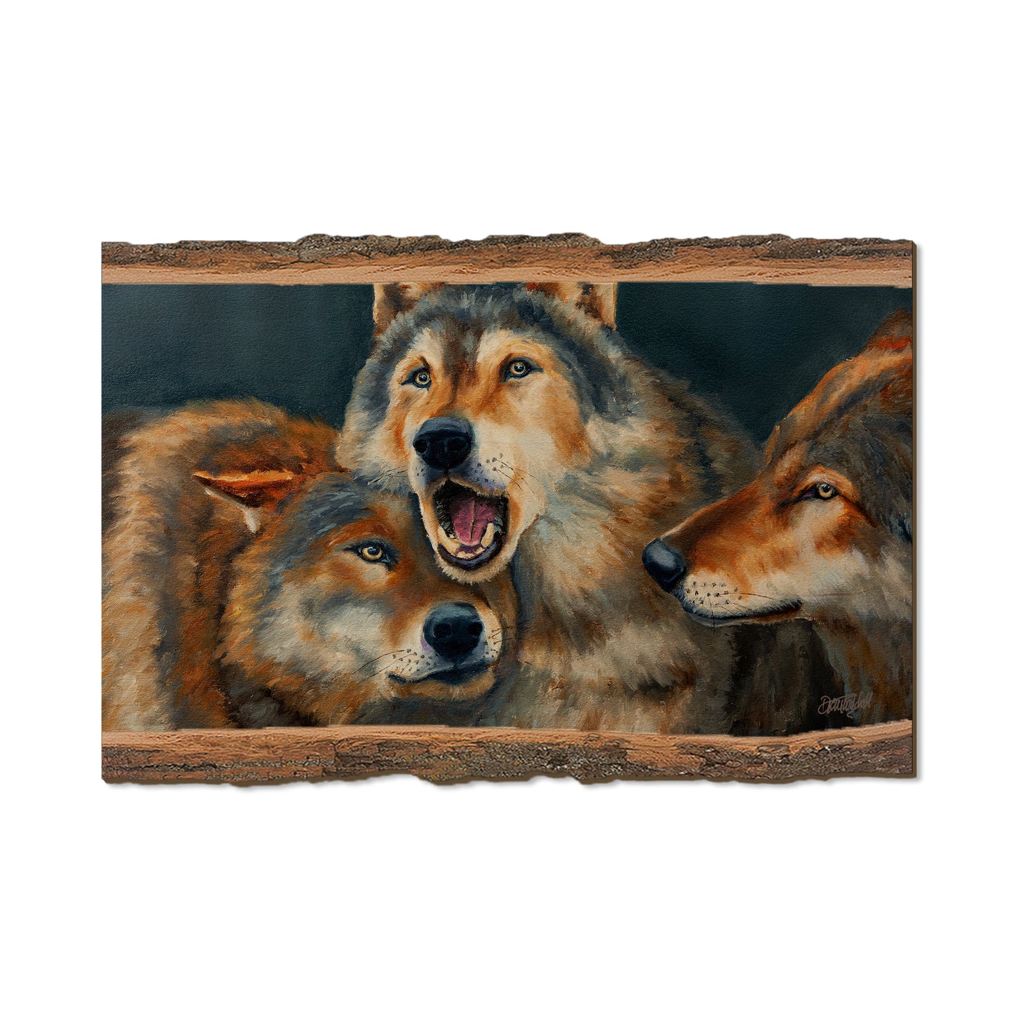 Twitchell's Dominance - Live Edge Live Edge Postcard (5pk // $2.80ea)