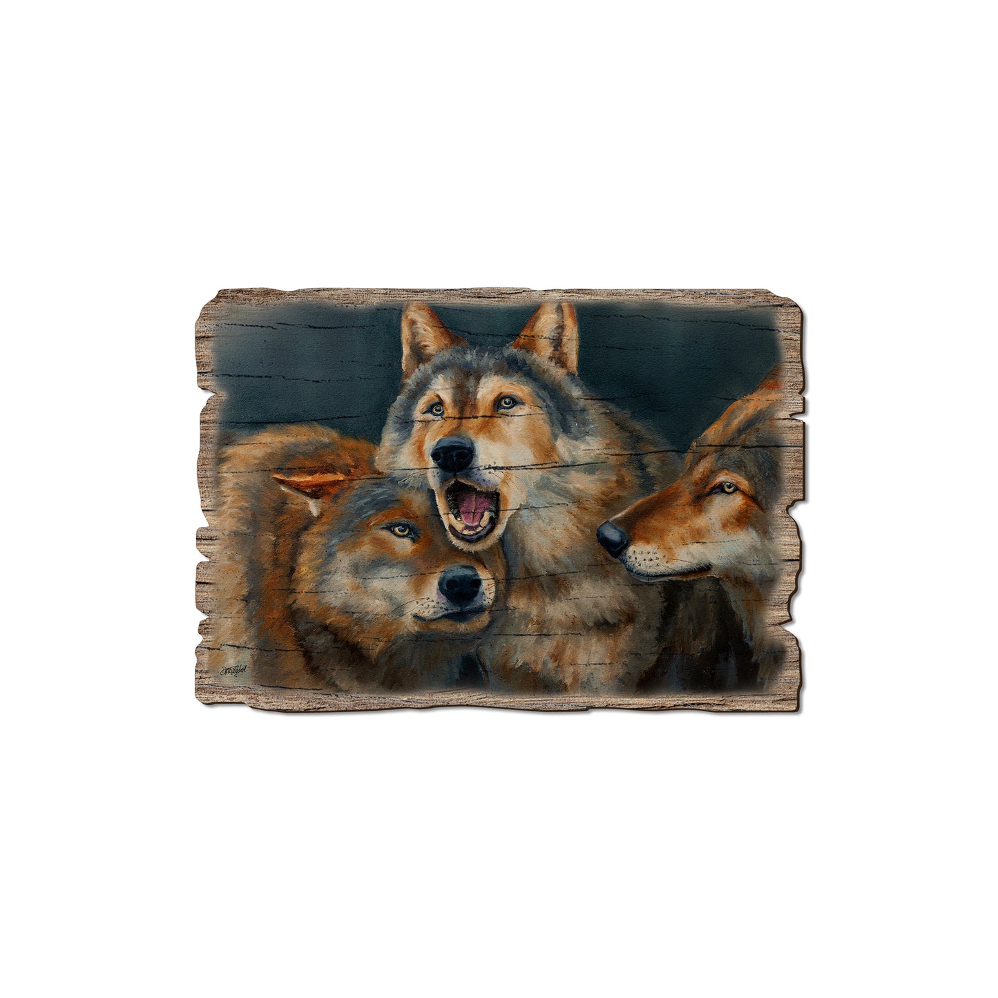 Twitchell's Dominance - Rustic Edge Postcards & Magnets Rustic Edge Magnet (5pk // $2.80ea)