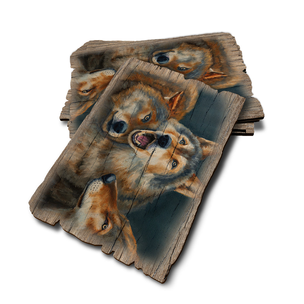 Twitchell's Dominance - Weathered Edge Rustic Edge Postcard (5pk // $2.80ea)