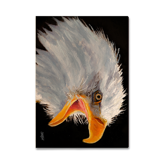 Magnet: Classic Edge - Twitchell's Eagle in Light