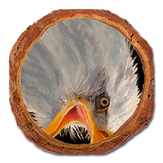 Coaster: Live Edge - Twitchell's Eagle in Light