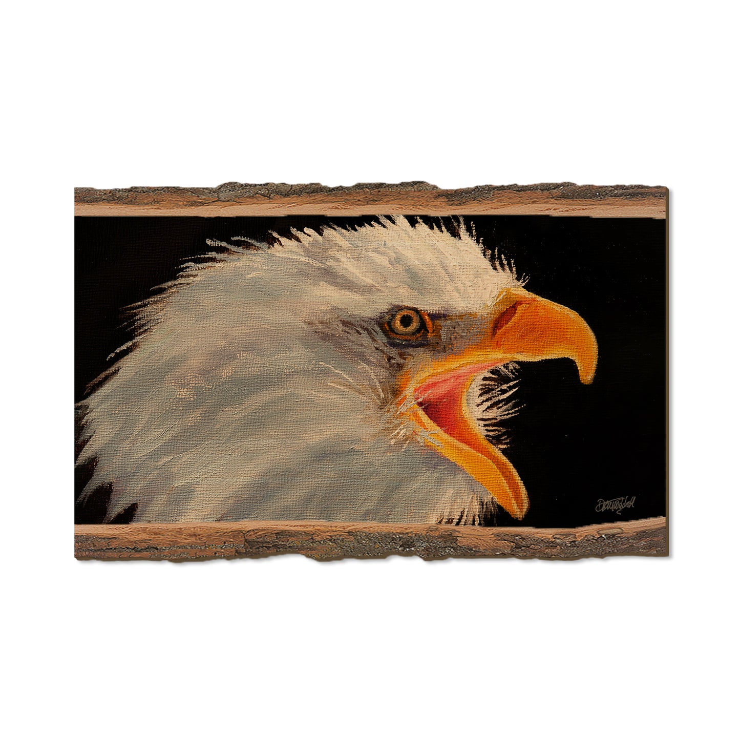 Twitchell's Eagle in Light - Live Edge Live Edge Magnet (5pk // $2.80ea)