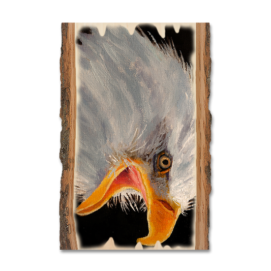 Magnet: Live Edge - Twitchell's Eagle in Light