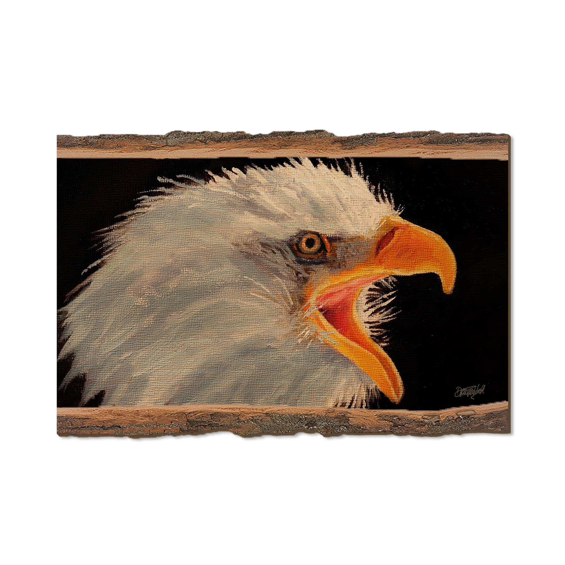 Twitchell's Eagle in Light - Live Edge Live Edge Postcard (5pk // $2.80ea)