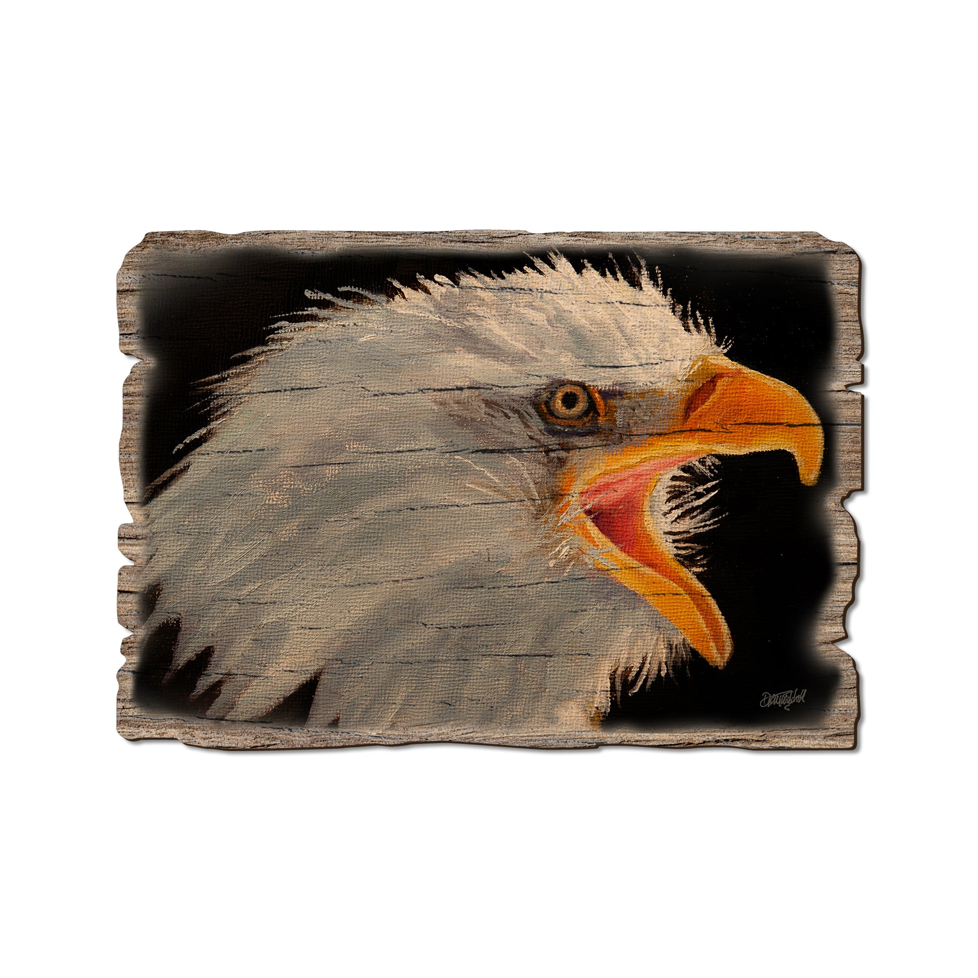 Twitchell's Eagle In Light - Rustic Edge Postcards & Magnets Rustic Edge Postcard (5pk // $2.80ea)