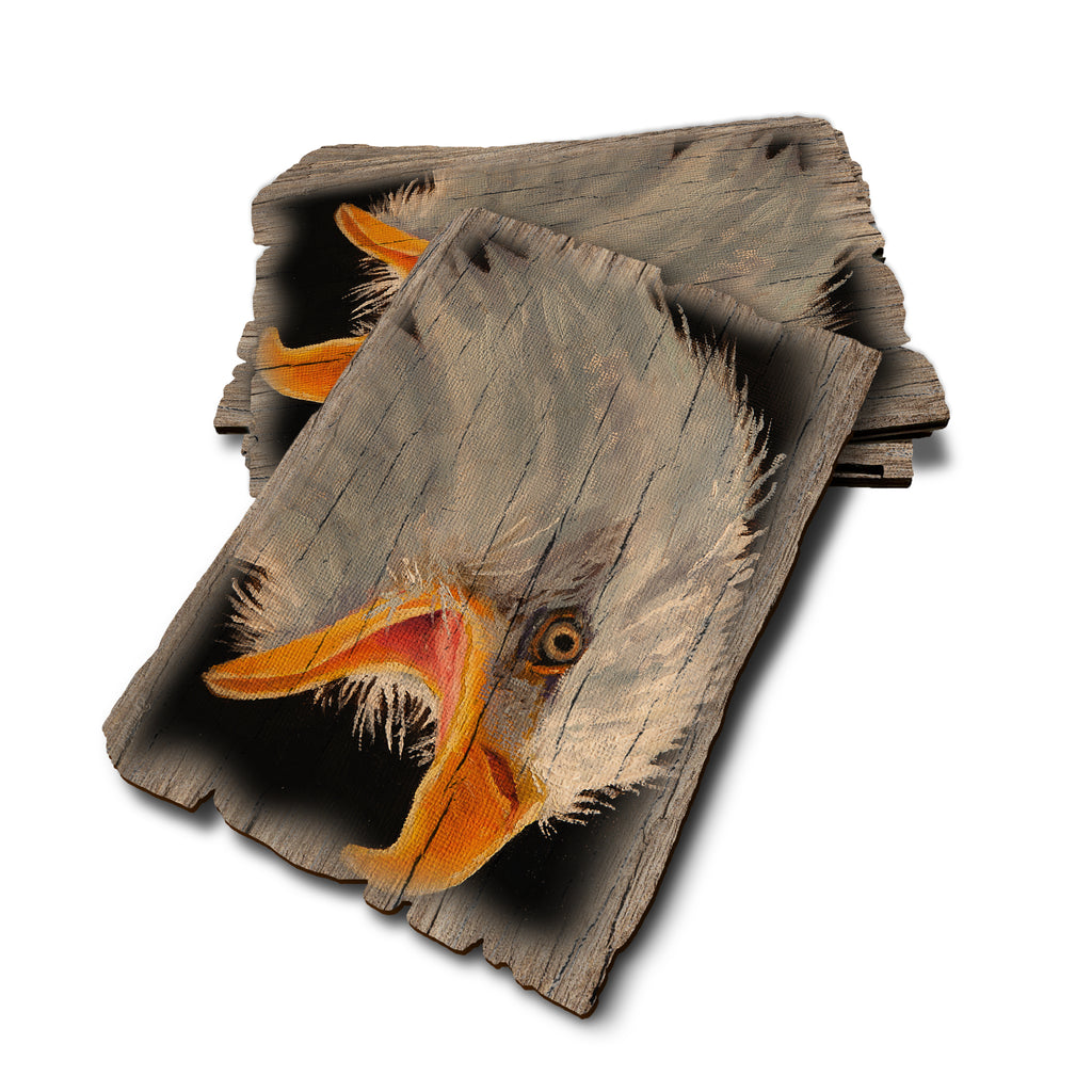 Twitchell's Eagle In Light - Weathered Edge Rustic Edge Postcard (5pk // $2.80ea)
