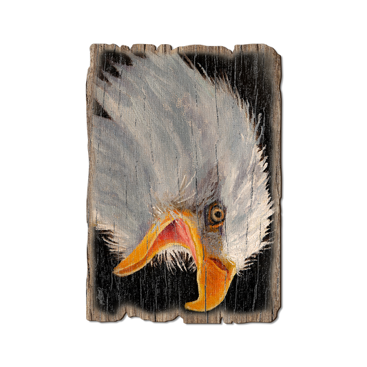 Greeting Card: Weathered Edge - Twitchell's Eagle in Light