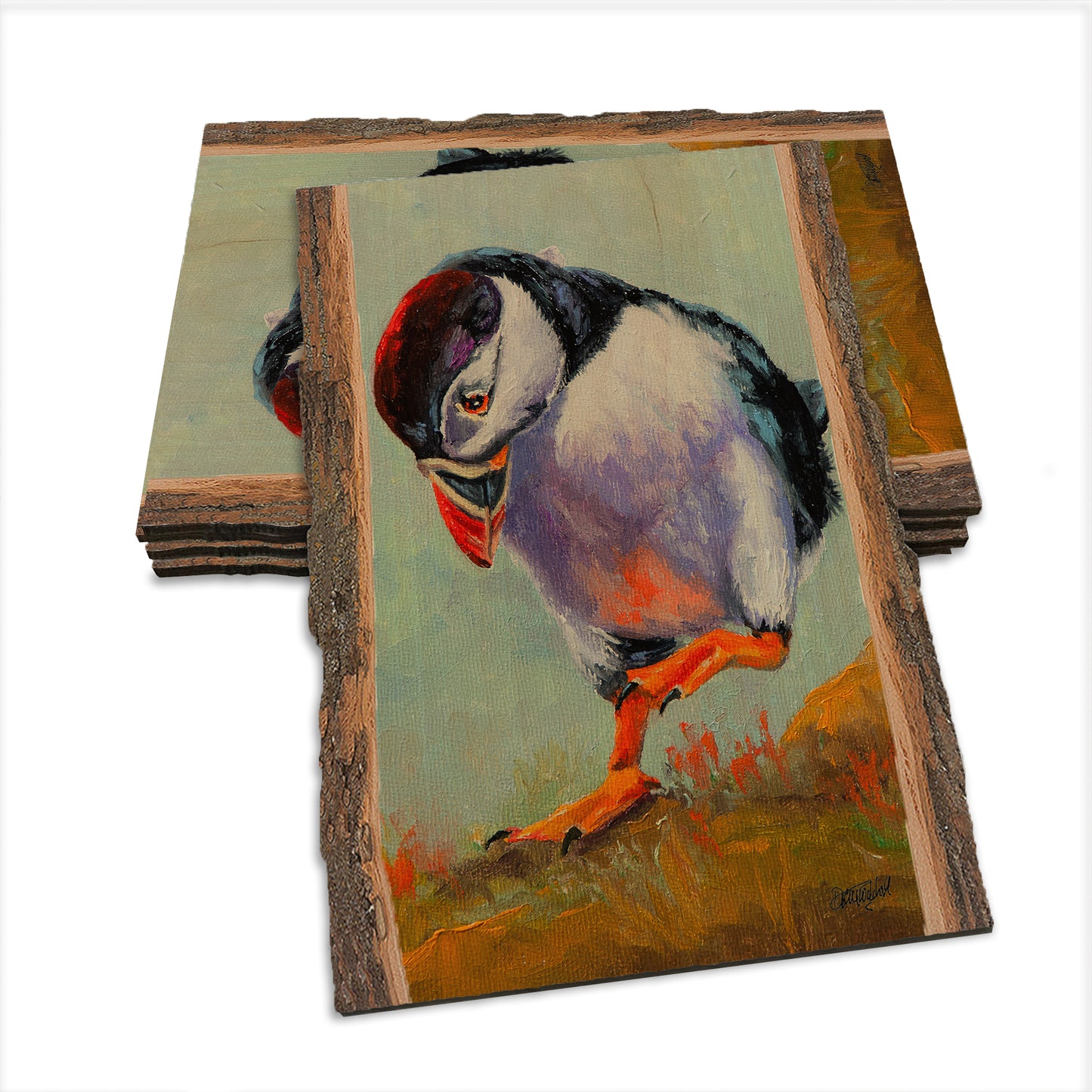 Twitchell's High Steppin - Live Edge Live Edge Postcard (5pk // $2.80ea)