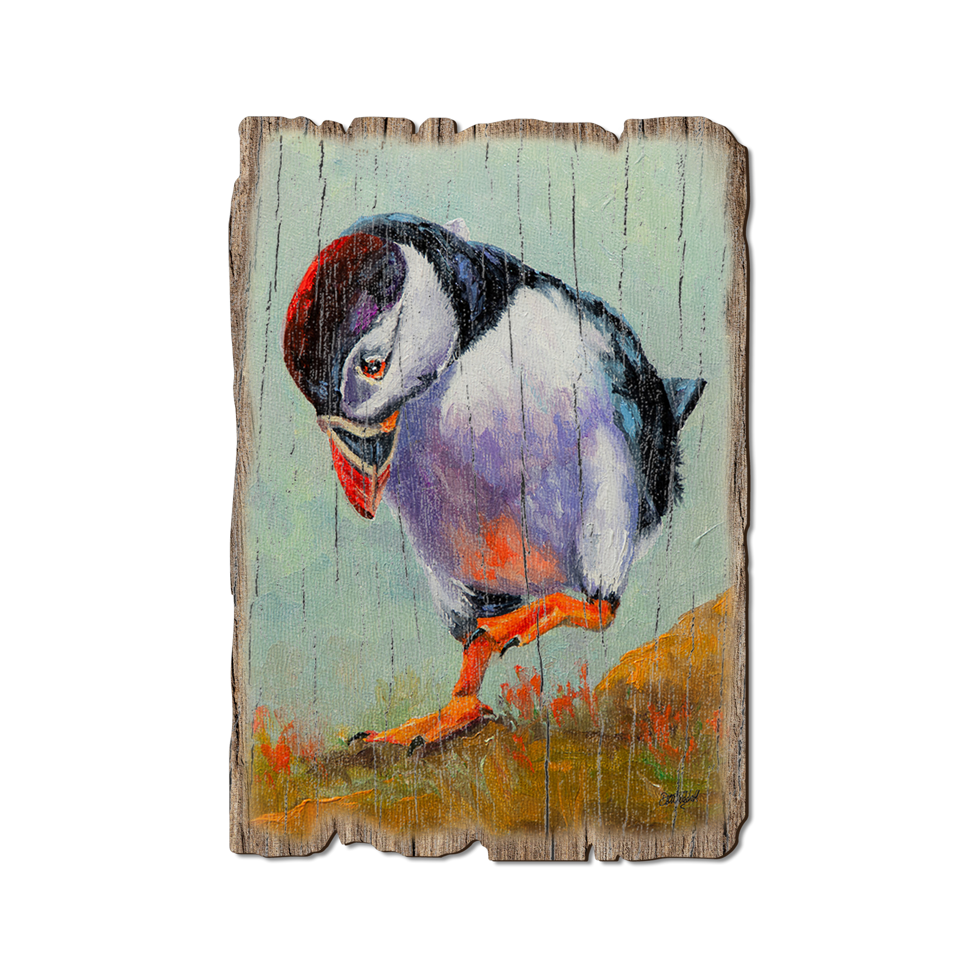 Postcard: Weathered Edge - Twitchell's High Steppin