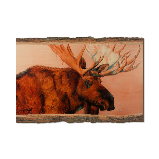 Twitchell's King of Denali - Live Edge Live Edge Postcard (5pk // $2.80ea)