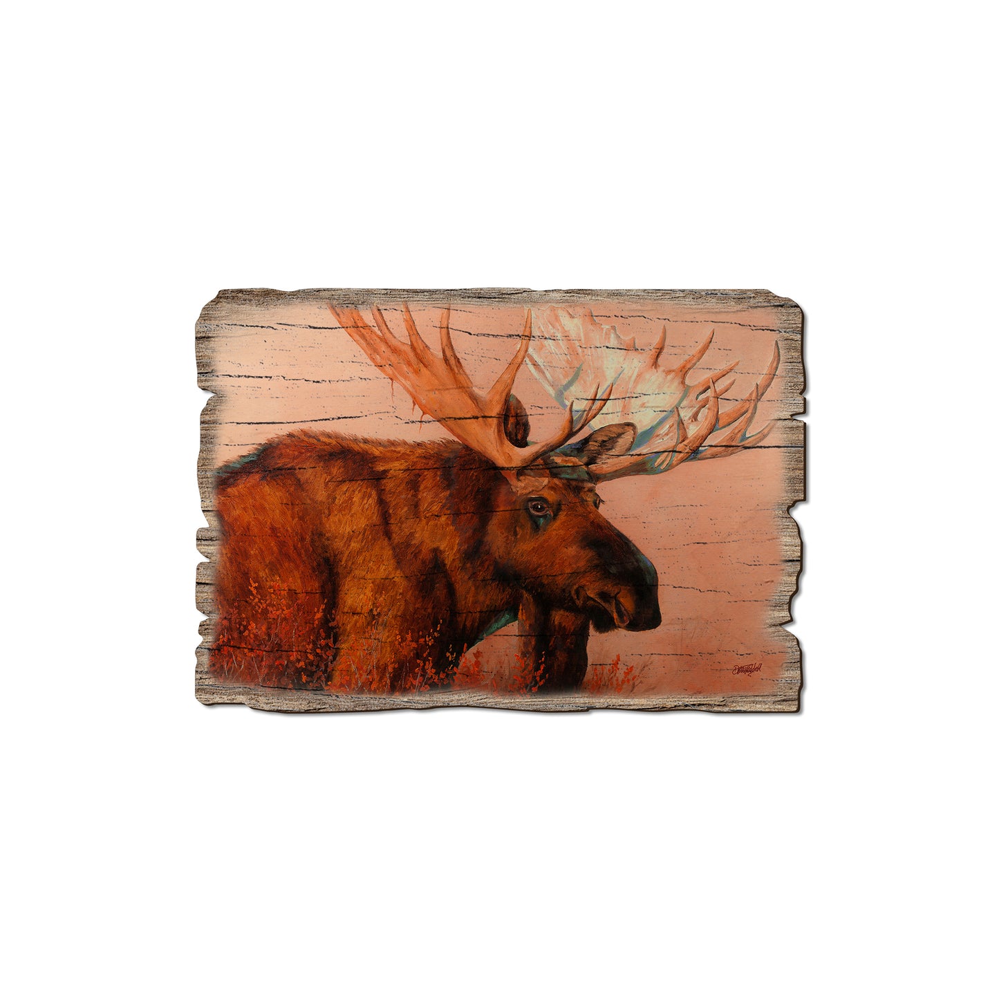 Twitchell's King Of Denali - Rustic Edge Postcards & Magnets Rustic Edge Magnet (5pk // $2.80ea)