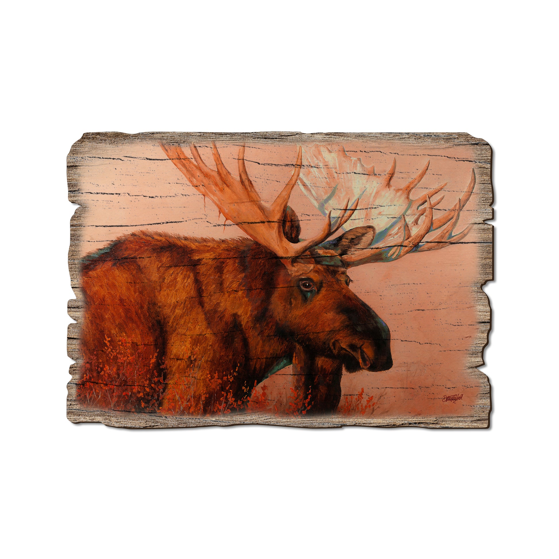 Twitchell's King Of Denali - Rustic Edge Postcards & Magnets Rustic Edge Postcard (5pk // $2.80ea)