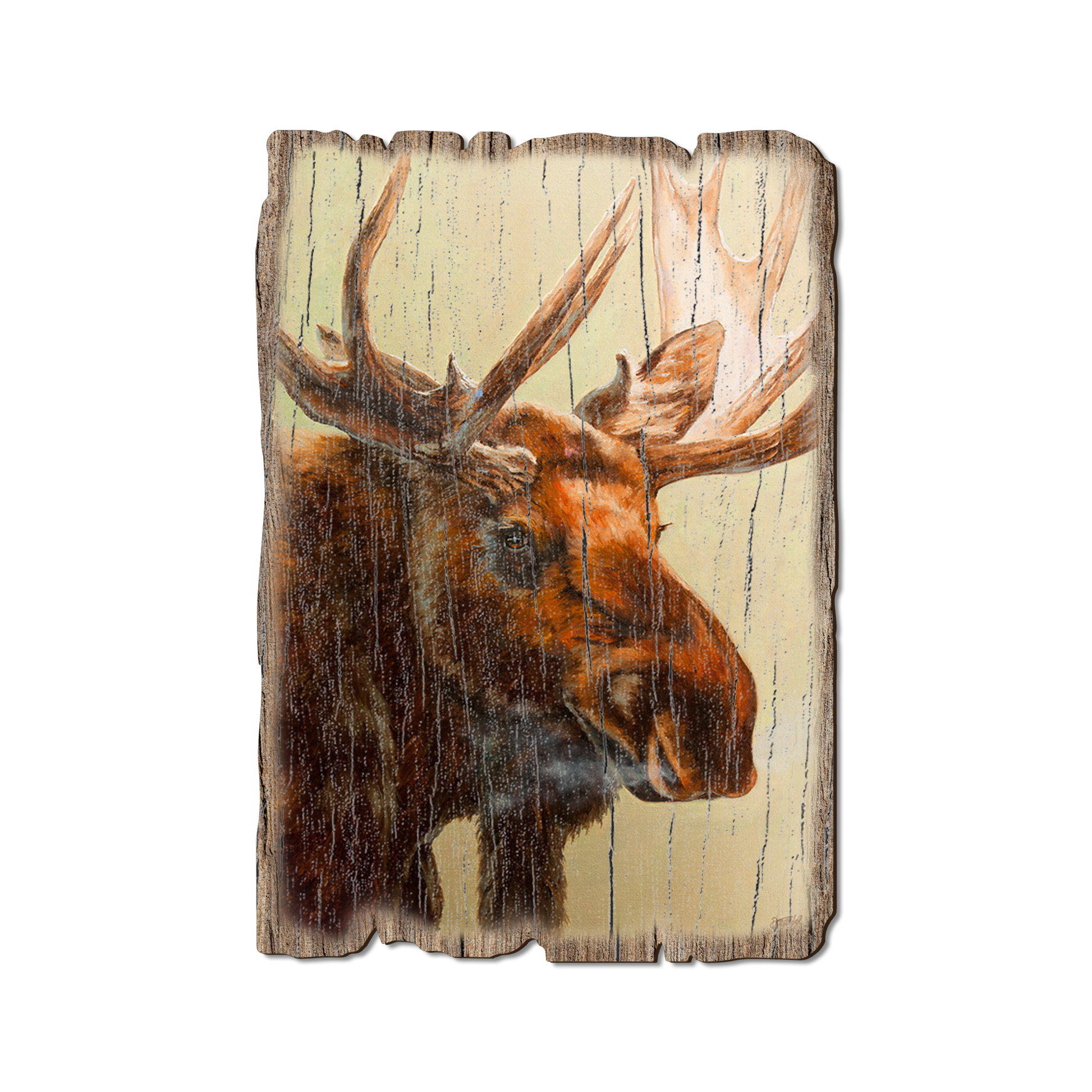 Postcard: Weathered Edge - Twitchell's Scarface