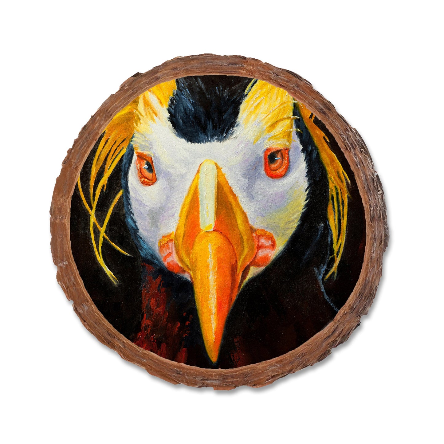 Twitchell's Tufted Puffin - Live Edge Live Edge Coaster (5pk // $2.80ea)