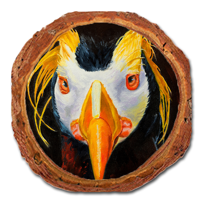 Coaster: Live Edge - Twitchell's Tufted Puffin