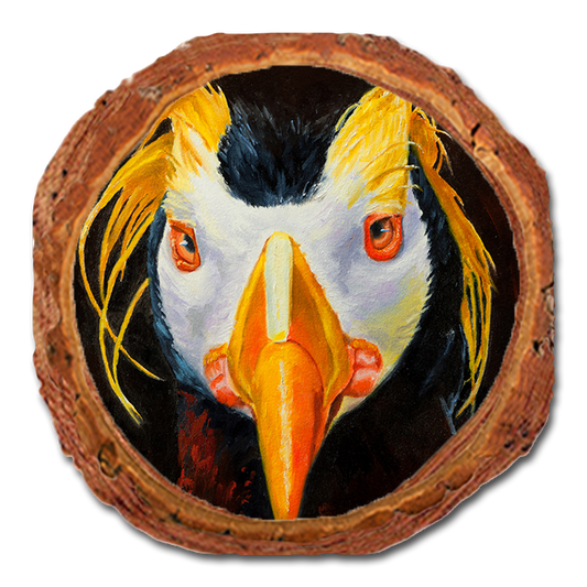 Coaster: Live Edge - Twitchell's Tufted Puffin
