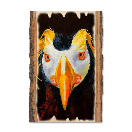 Greeting Card: Live Edge - Twitchell's Tufted Puffin
