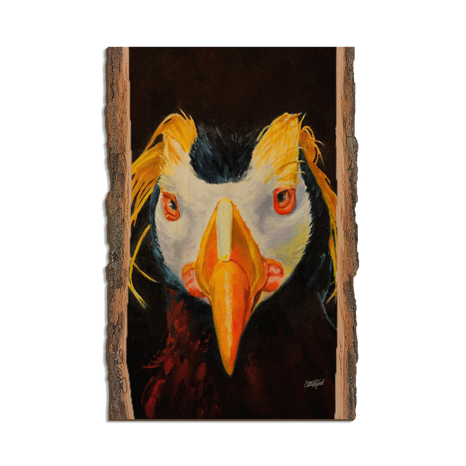 Twitchell's Tufted Puffin - Live Edge Live Edge Postcard (5pk // $2.80ea)