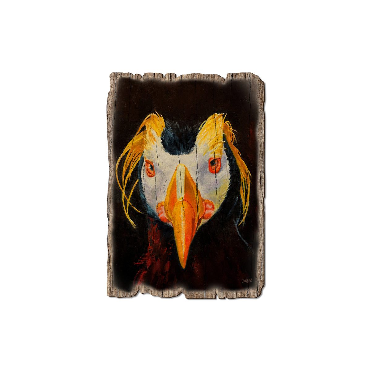 Twitchell's Tufted Puffin - Rustic Edge Postcards & Magnets Rustic Edge Magnet (5pk // $2.80ea)