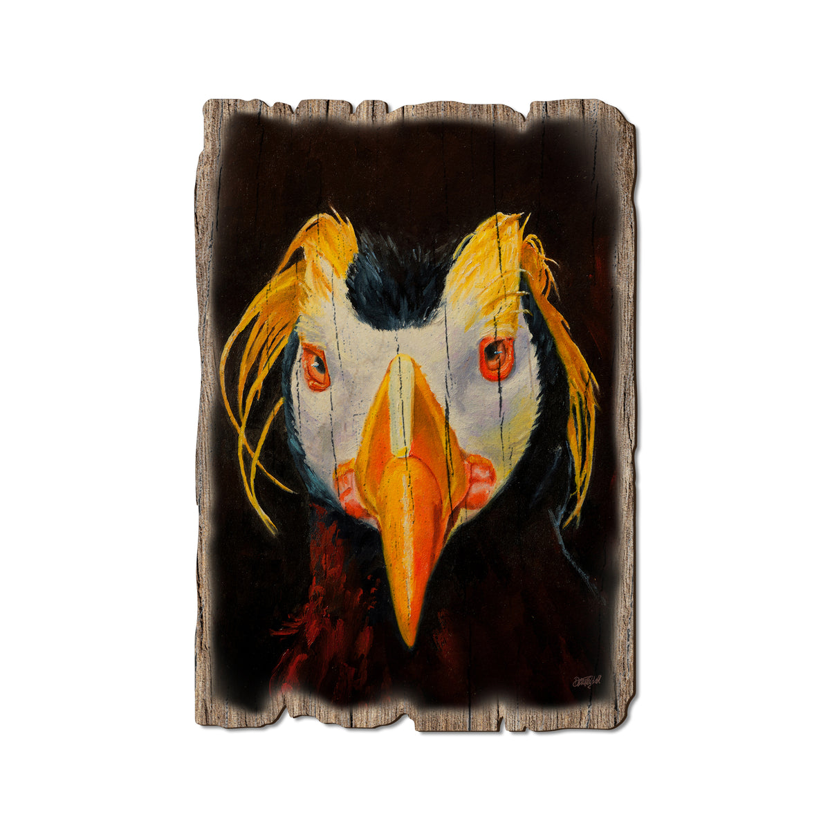 Twitchell's Tufted Puffin - Rustic Edge Postcards & Magnets Rustic Edge Postcard (5pk // $2.80ea)