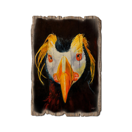Twitchell's Tufted Puffin - Rustic Edge Postcards & Magnets Rustic Edge Postcard (5pk // $2.80ea)