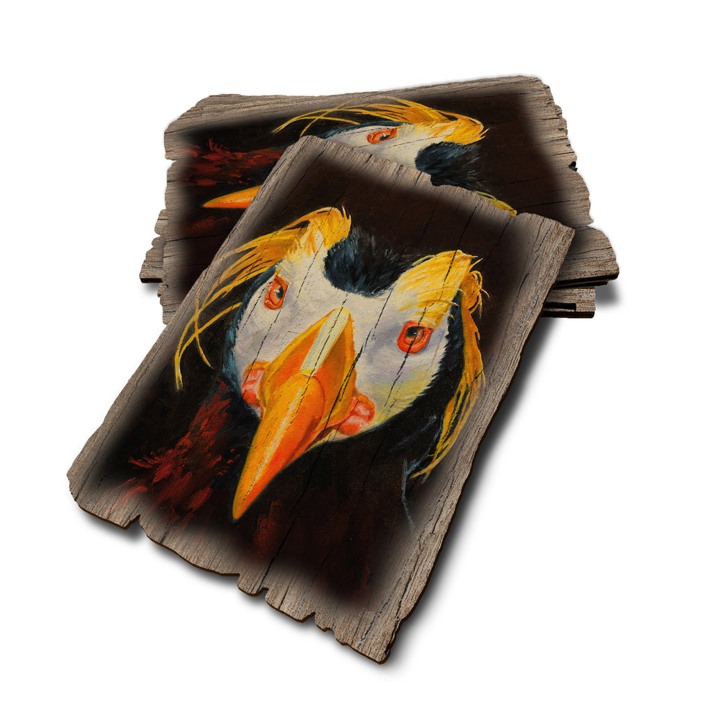 Twitchell's Tufted Puffin - Weathered Edge Rustic Edge Postcard (5pk // $2.80ea)