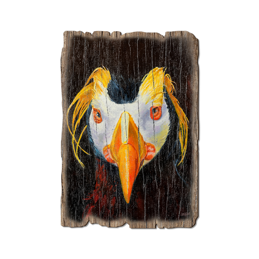 Greeting Card: Weathered Edge - Twitchell's Tufted Puffin