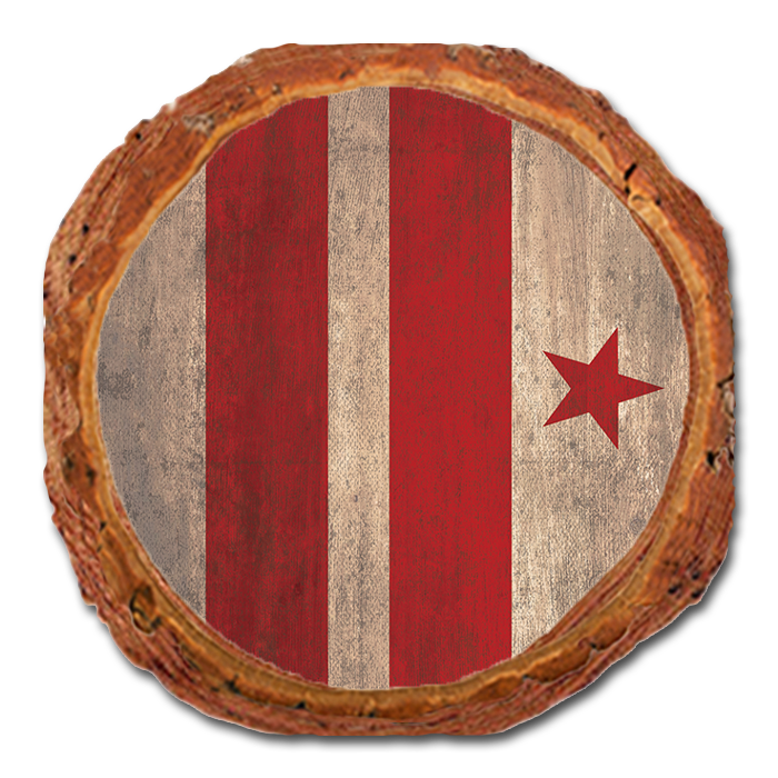 Coaster: Live Edge - District of Columbia State Flag