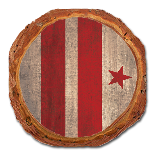 Coaster: Live Edge - District of Columbia State Flag