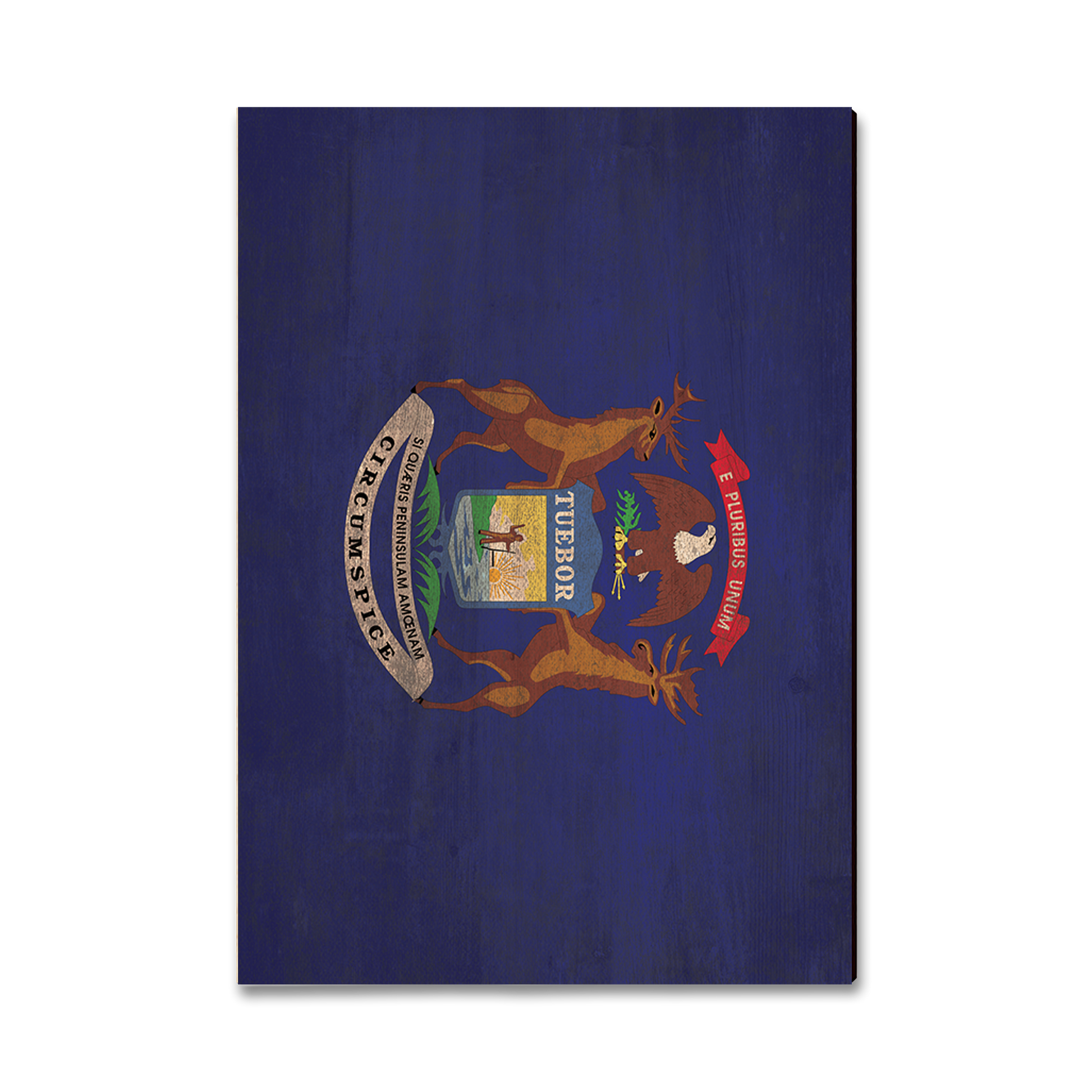 Ornament: Classic Edge - Michigan State Flag