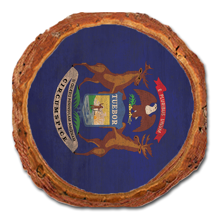 Coaster: Live Edge - Michigan State Flag (Pack of 5)