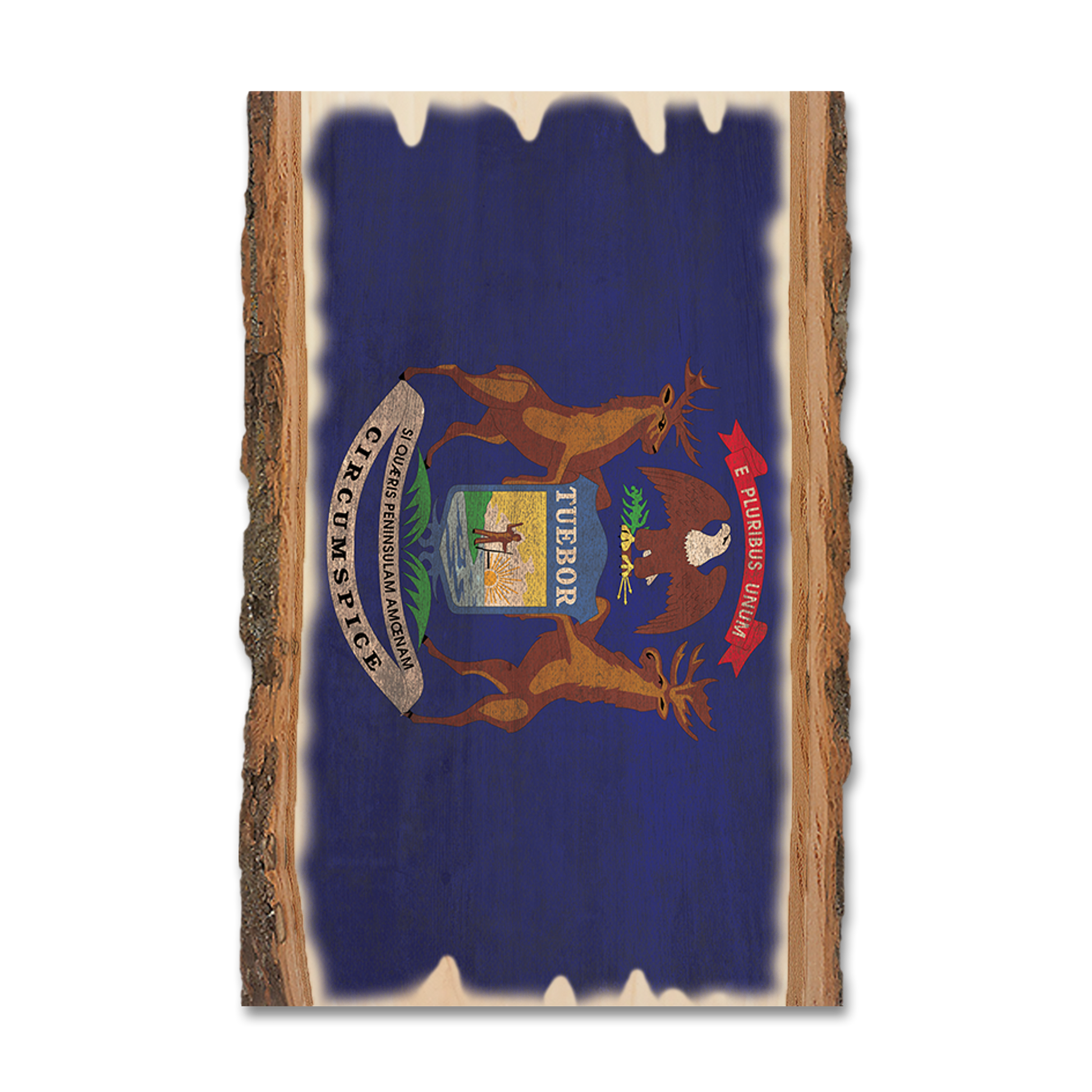 Greeting Card: Live Edge - Michigan State Flag