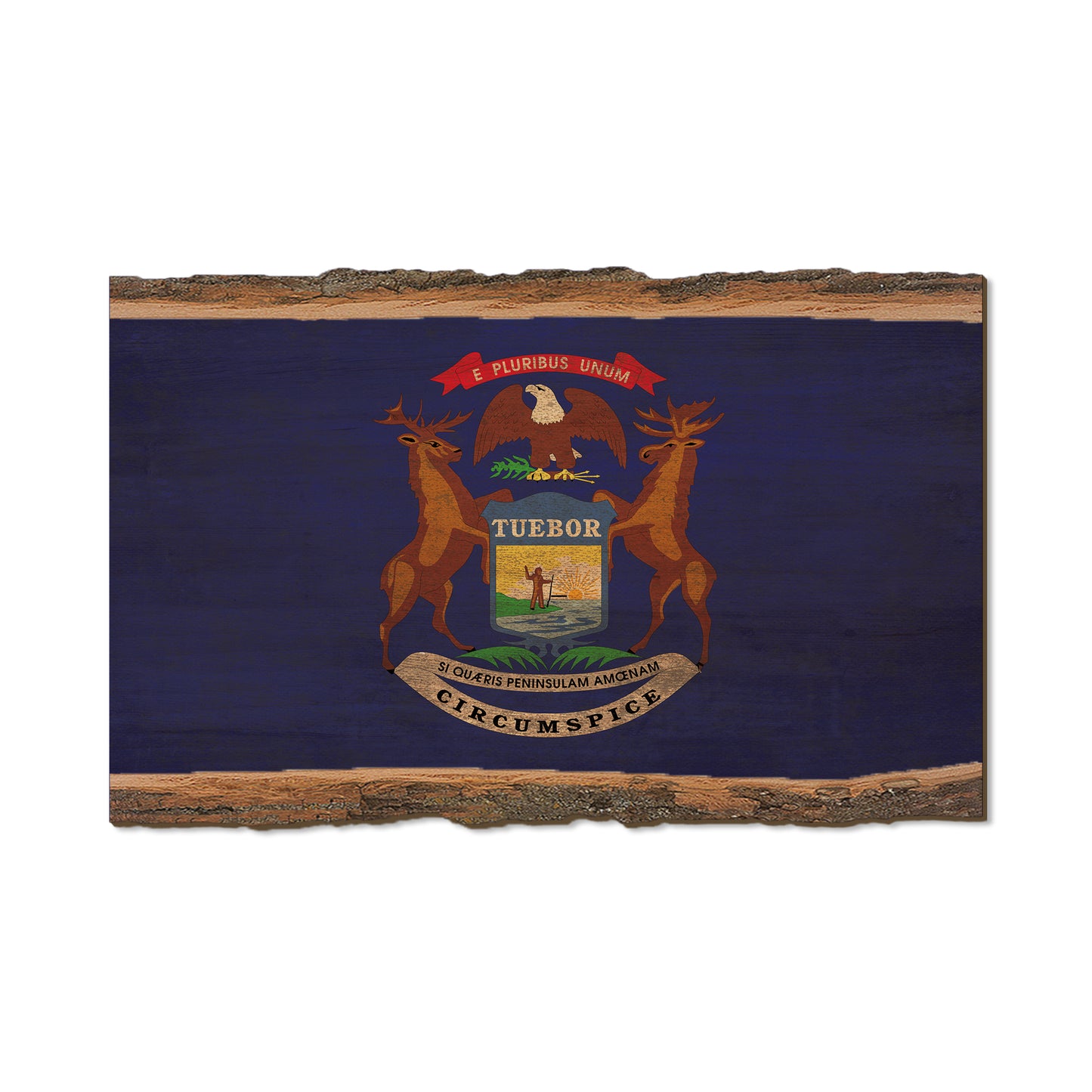 Michigan State Flag - Live Edge Live Edge Magnet (5pk // $2.80ea)
