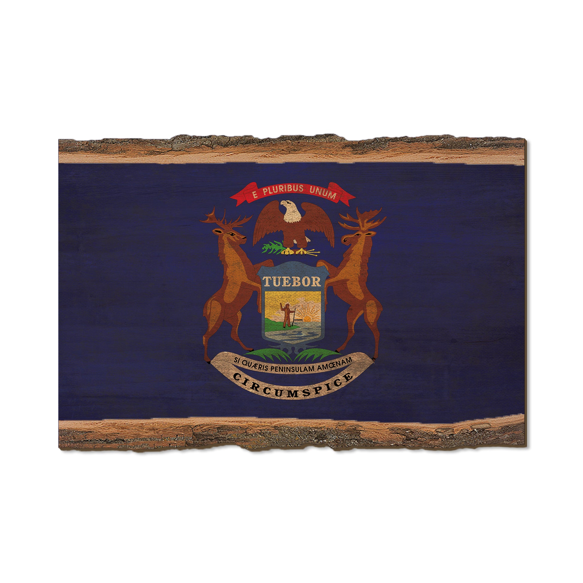 Michigan State Flag - Live Edge Live Edge Postcard (5pk // $2.80ea)