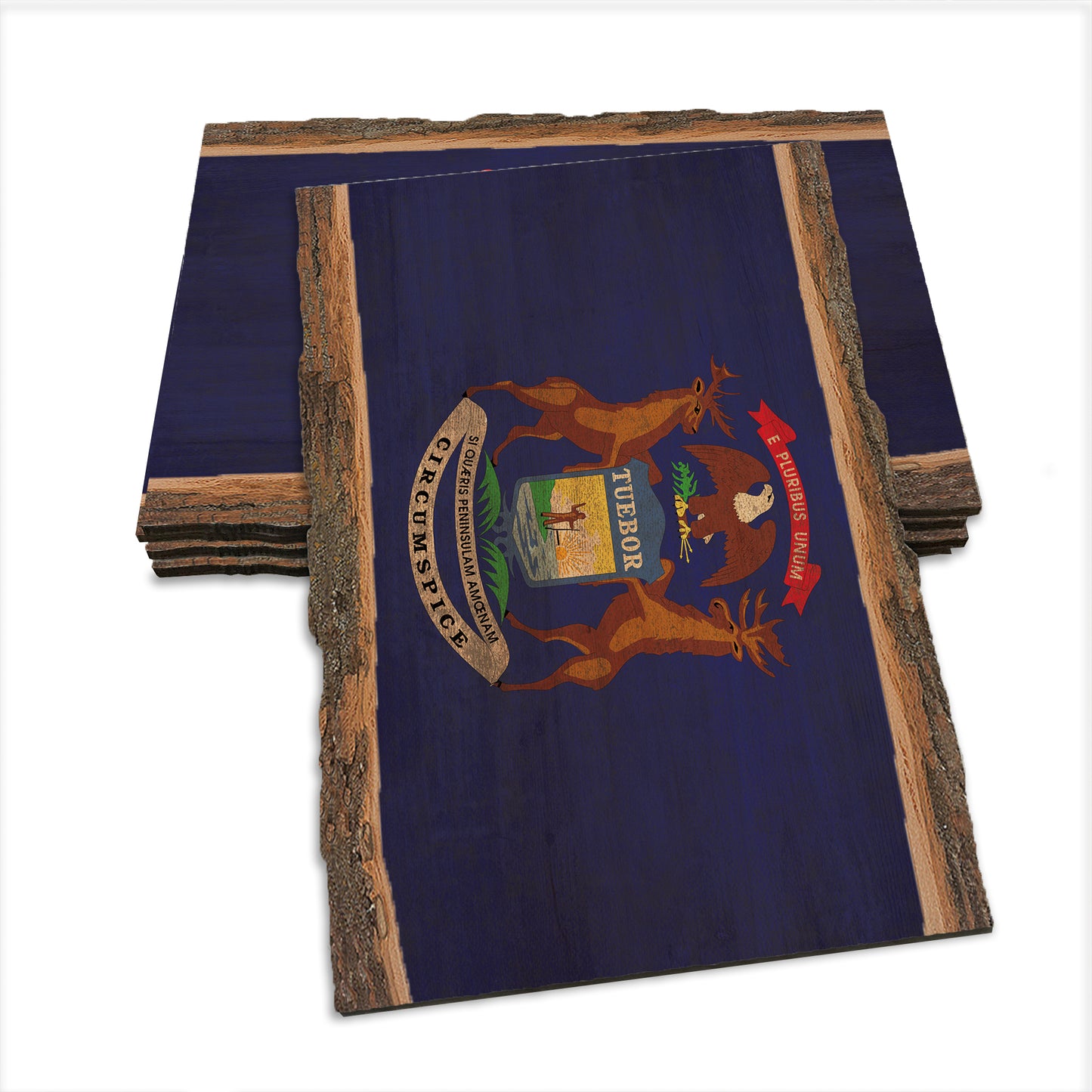 Michigan State Flag - Live Edge Live Edge Postcard (5pk // $2.80ea)