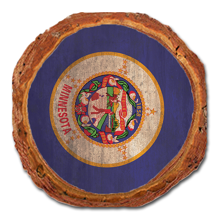 Coaster: Live Edge - Minnesota State Flag