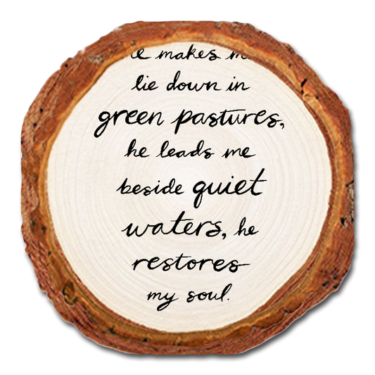 Coaster: Live Edge - Green Pastures (Pack of 5)
