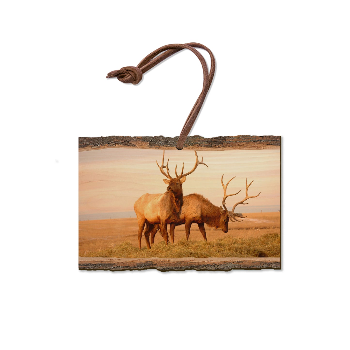 Bull Elk - Live Edge Magnet Live Edge Ornament (5pk // $2.80ea)