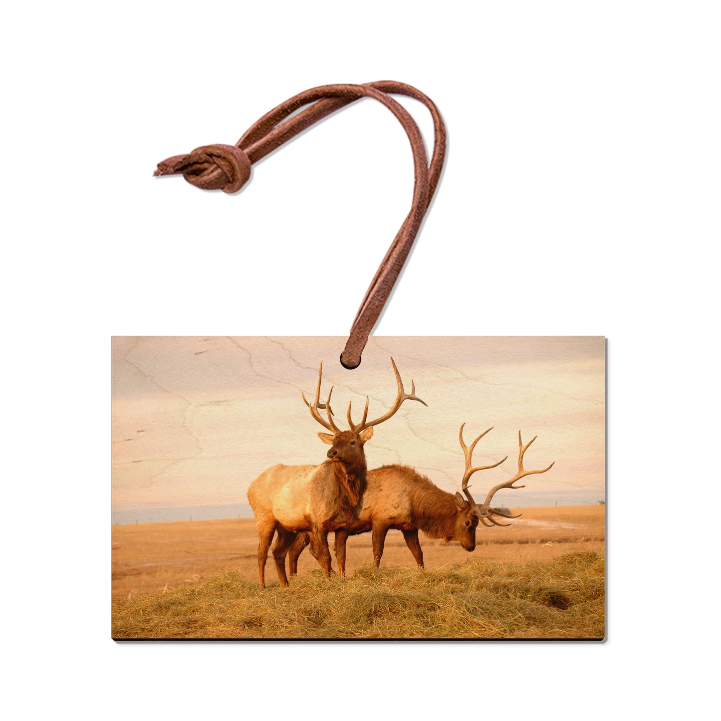 Bull Elk - Magnet Classic Edge Ornament (5pk // $2.80ea)