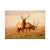 Bull Elk - Magnet Classic Edge Postcard (5pk // $2.80ea)