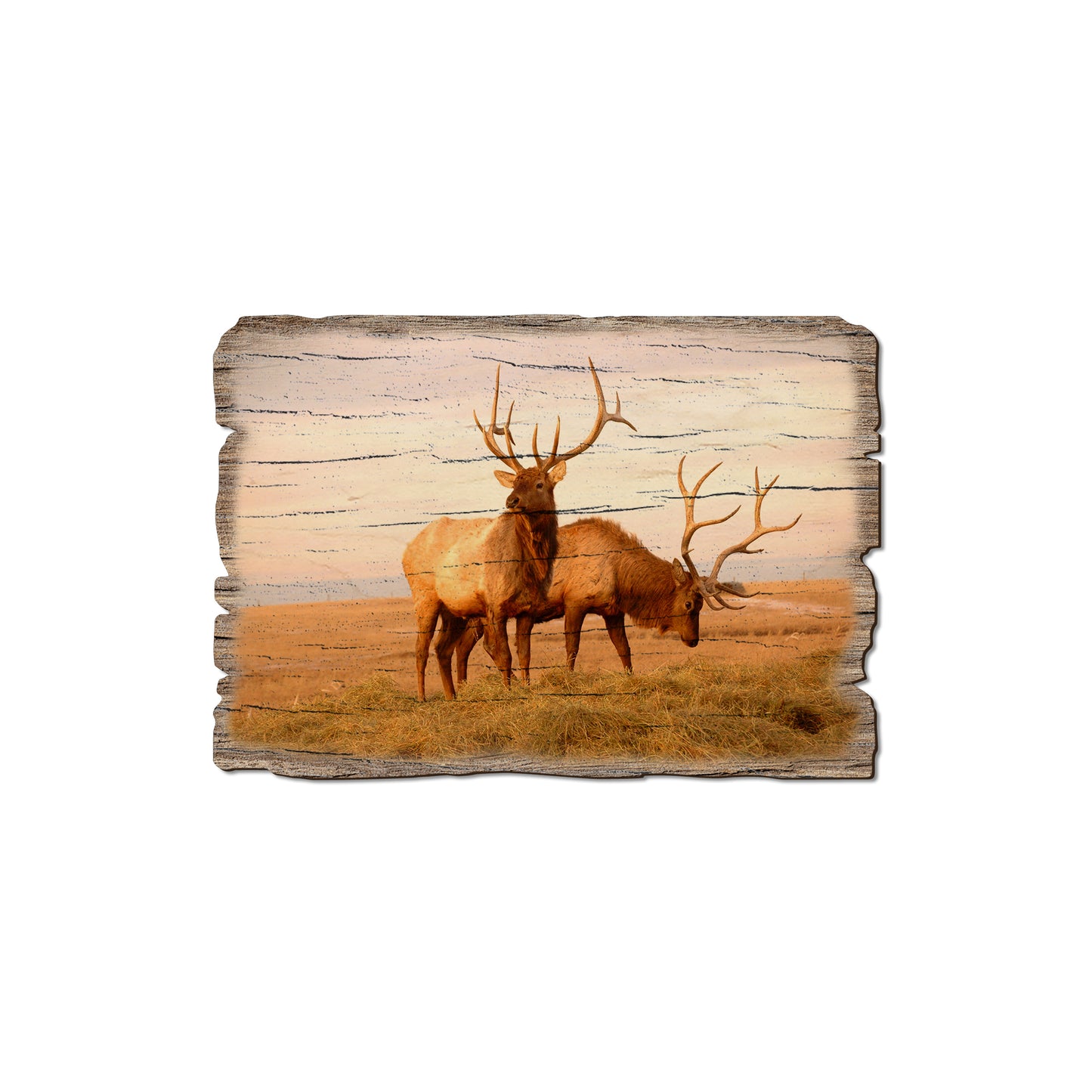 Bull Elk - Weathered Edge Magnet Weathered Edge Magnet (5pk // $2.80ea)