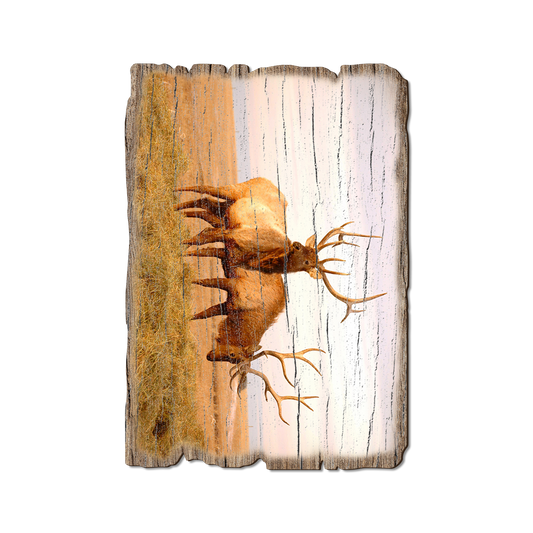 Greeting Card: Weathered Edge - Bull Elk (Pack of 5)